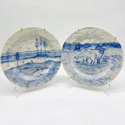Two Hand painted Joyce Plates