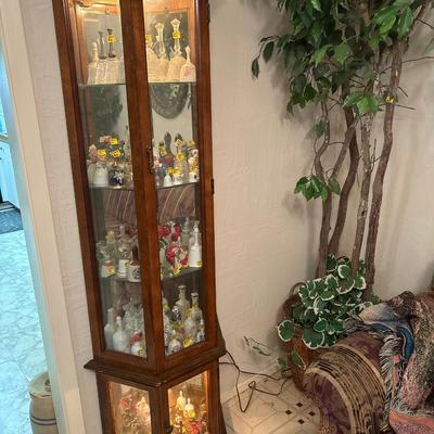 Curio cabinet