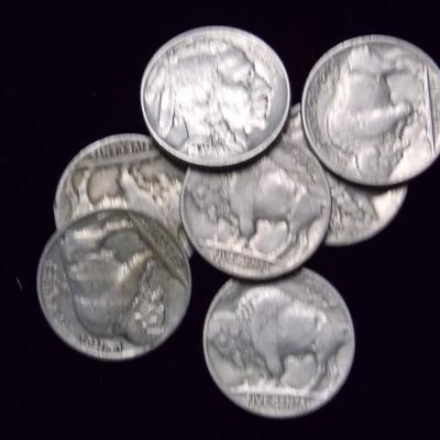 7 Buffalo Nickels