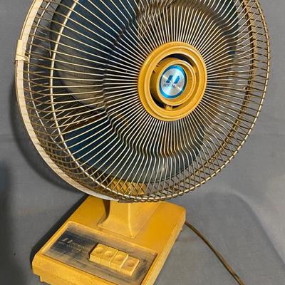 Northern Fan