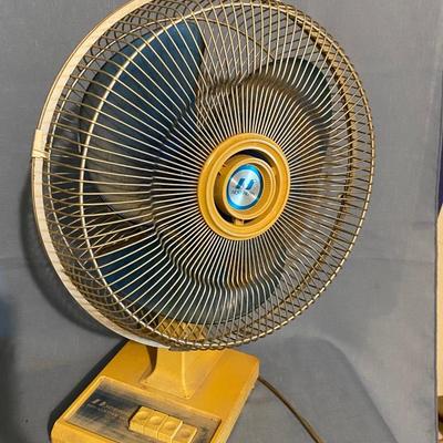 Northern Fan