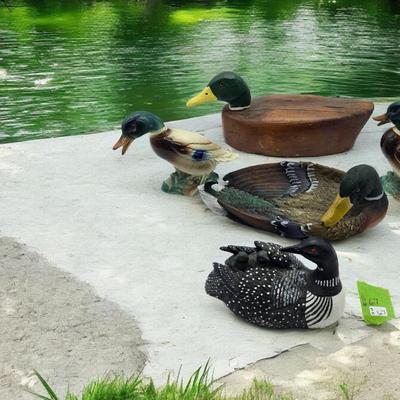 Duck Decor Lot
