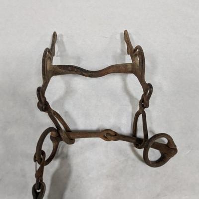 Vintage Horse Bridle