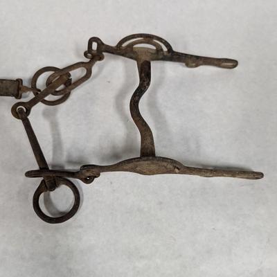 Vintage Horse Bridle
