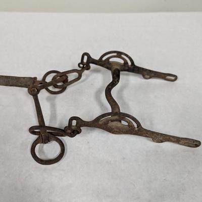 Vintage Horse Bridle
