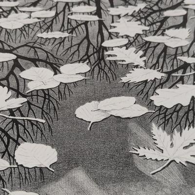 4 - M.C. Escher Lithos (see all pictures) 1 Litho Is Signed
