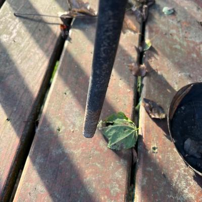 Metal Mesh Patio Table + Five Chairs (Y-JS)