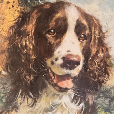 Robert Abbett Signed Springer Spaniel and Antique Spaniel Painting (MB-DZ)