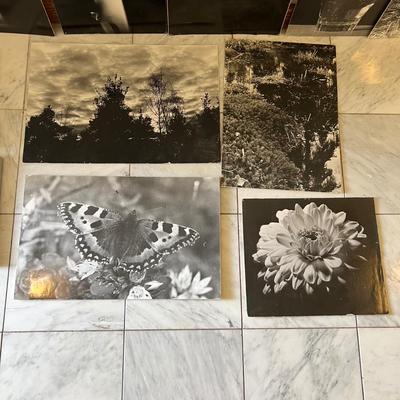 Black & White Photography - Framed Plus More (GB-RG)
