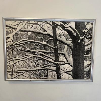 Black & White Photography - Framed Plus More (GB-RG)