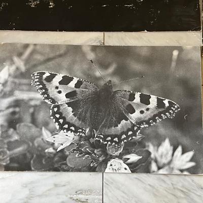 Black & White Photography - Framed Plus More (GB-RG)