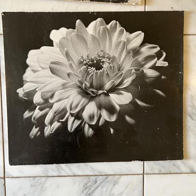 Black & White Photography - Framed Plus More (GB-RG)