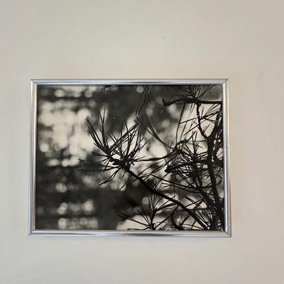 Black & White Photography - Framed Plus More (GB-RG)