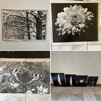 Black & White Photography - Framed Plus More (GB-RG)