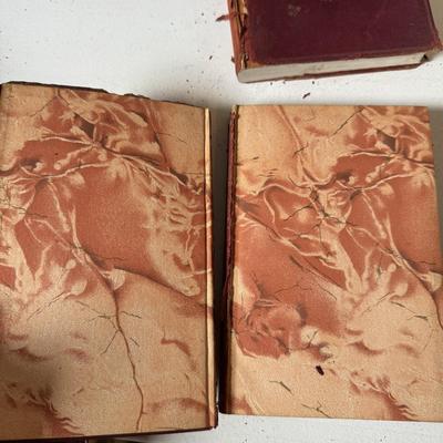Book Sets for Dickens, Jane Austen, and Everyman's Library (D-TF)