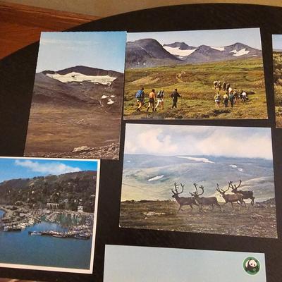Assorted Postcards Collection (LR-JS)