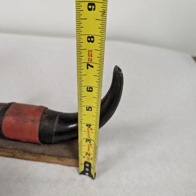 Carved Buffalo Horns