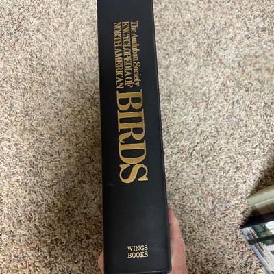 Birds