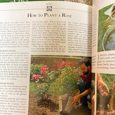 Gardening flowers