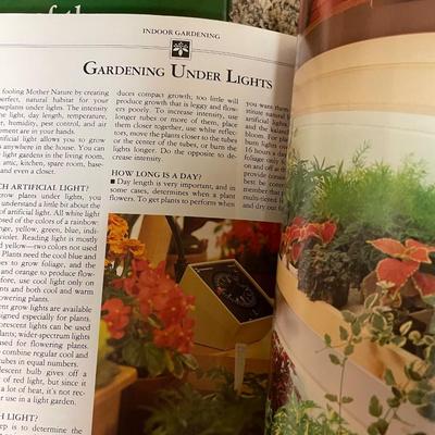 Gardening flowers
