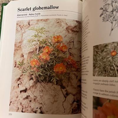 Gardening flowers