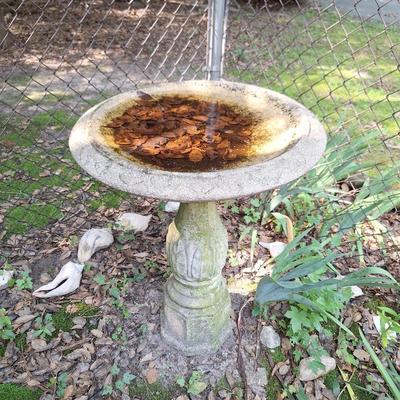 Bird Bath 1