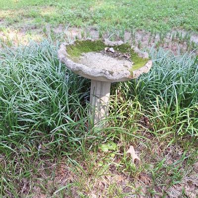 Bird bath2