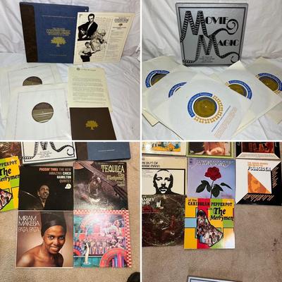 Multi Genre Vinyl Record Assortment (P-RG)