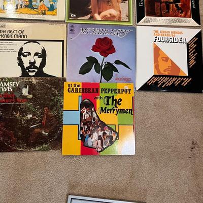 Multi Genre Vinyl Record Assortment (P-RG)