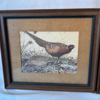 Wild Bird Art & More (DR-MG)