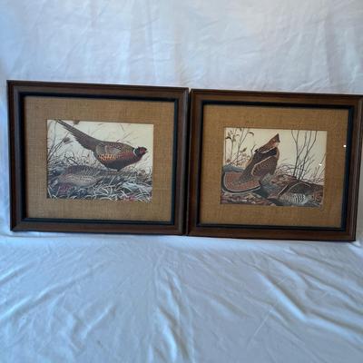 Wild Bird Art & More (DR-MG)