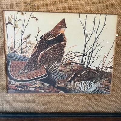 Wild Bird Art & More (DR-MG)