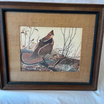 Wild Bird Art & More (DR-MG)