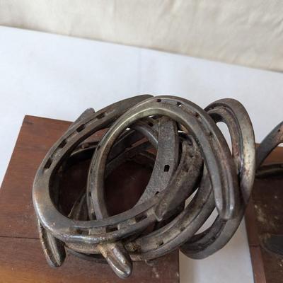 Horseshoe Bookends Choice B