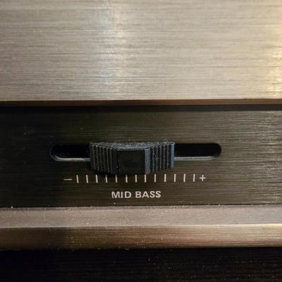 Bose Series V Active Equalizer (P-JS)