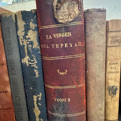 Variety of Vintage Books (11)