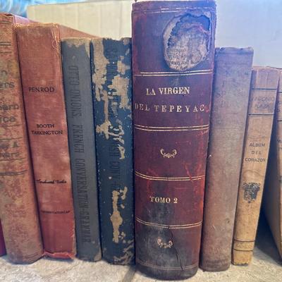 Variety of Vintage Books (11)