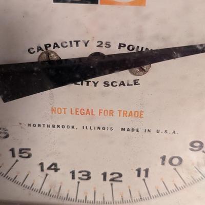 Hanson Northbrook, Illinois & Metro Scales