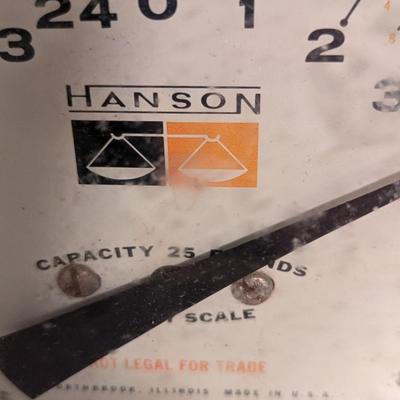 Hanson Northbrook, Illinois & Metro Scales