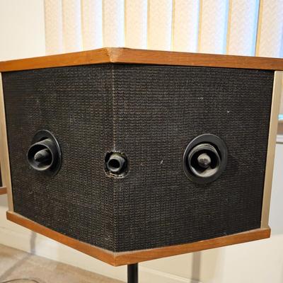 Bose 901 Series V Direct/Reflecting Speakers (P-JS)