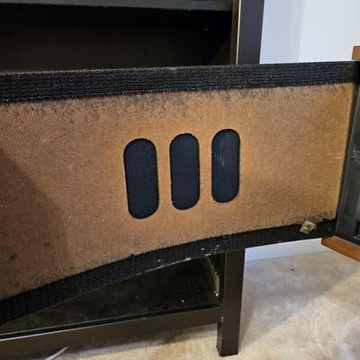 Bose 901 Series V Direct/Reflecting Speakers (P-JS)