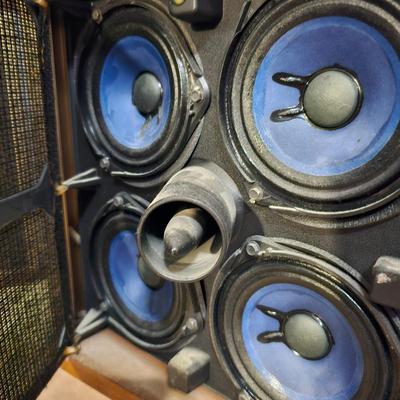 Bose 901 Series V Direct/Reflecting Speakers (P-JS)