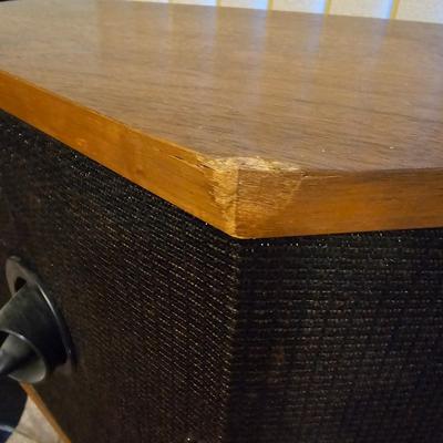 Bose 901 Series V Direct/Reflecting Speakers (P-JS)