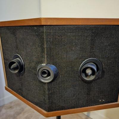 Bose 901 Series V Direct/Reflecting Speakers (P-JS)