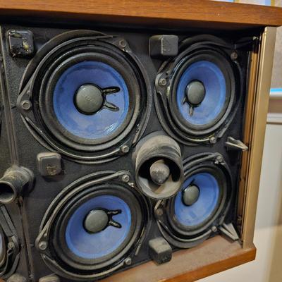 Bose 901 Series V Direct/Reflecting Speakers (P-JS)