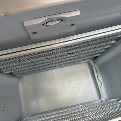 Danbury Small Freezer (G-RG)