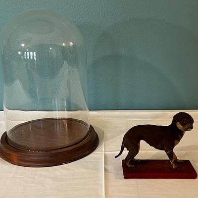 Mountain Musician & Drummer Corky Laing's Puppy