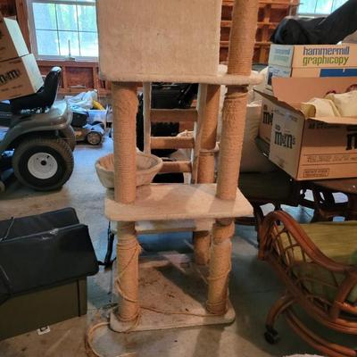 lg Cat tree worn
