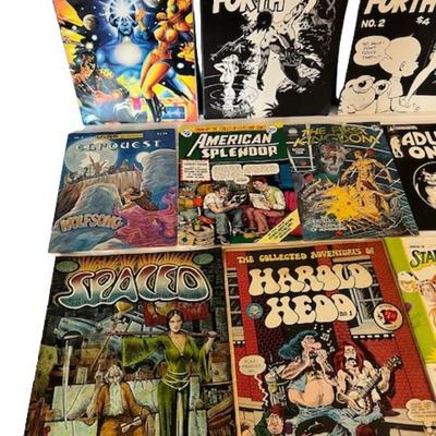 Adult Comic Book Assortment