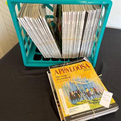 Apaloosa Horse magazines #2